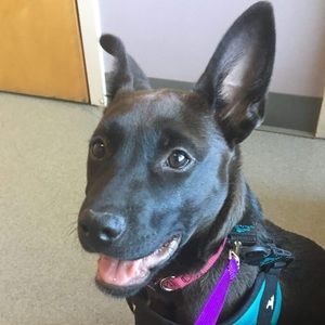 Meet your Posher, Isaac